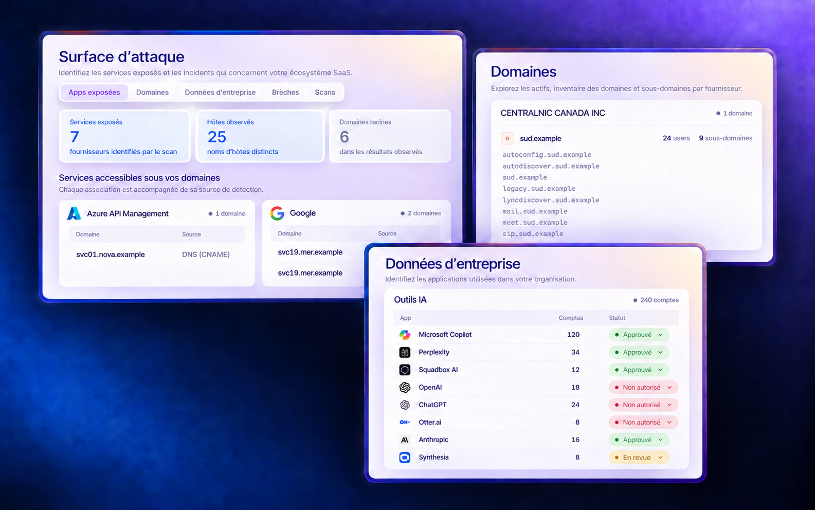 Sorvek example: exposed Azure and Google services, .example domains and applications associated with fictional accounts.