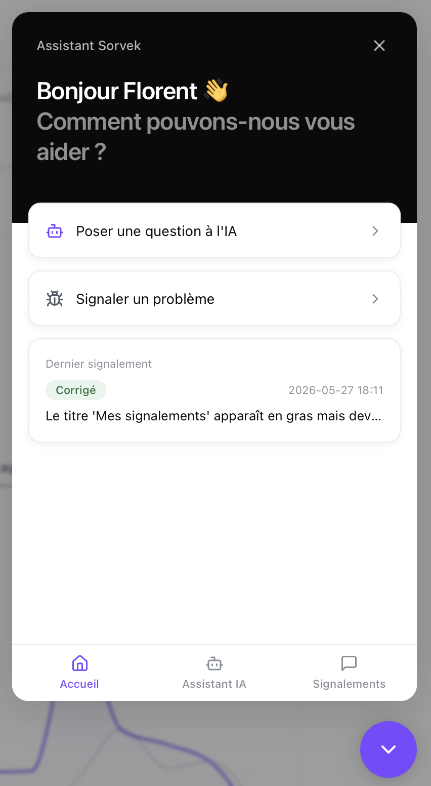 Assistant Sorvek: built-in chat and problem reporting (automated support)